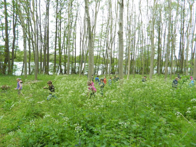 Children playing in forest