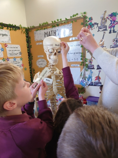 Mrs Owen and Archibald the Skeleton