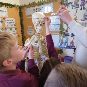 Mrs Owen and Archibald the Skeleton