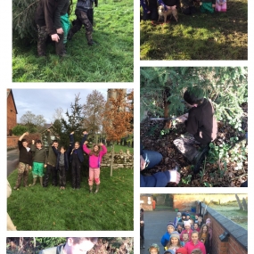 Christmas Tree walk 2020